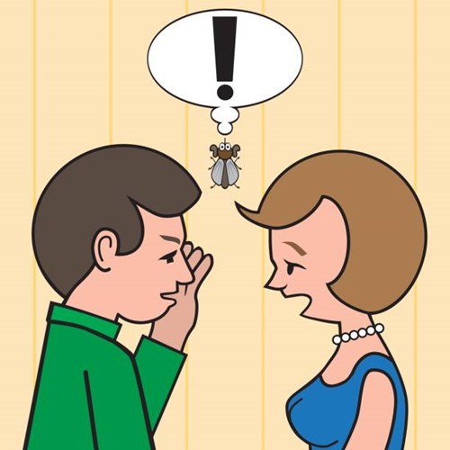 O que significa "to be a fly on the wall" em inglês? inFlux